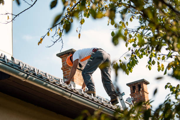 Quick and Trustworthy Emergency Roof Repair Services in La Verkin, UT