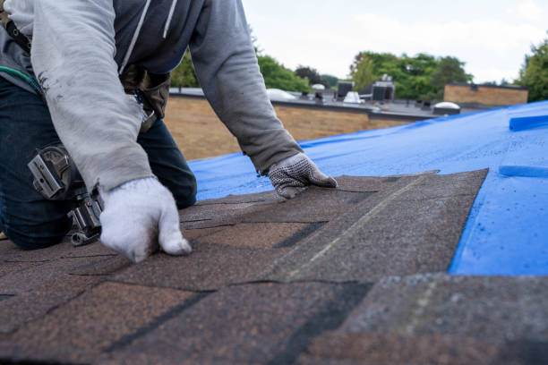 Best Roof Maintenance Services  in La Verkin, UT