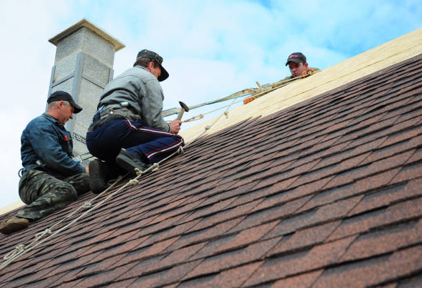 Best Roof Leak Repair  in La Verkin, UT
